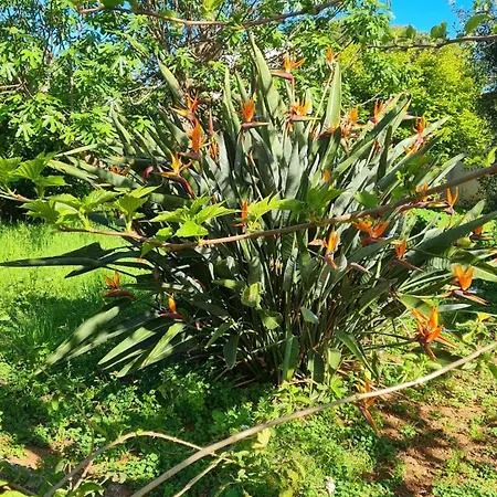 A Quelques Pas De La