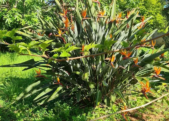 A Quelques Pas De La